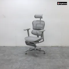 展示品 Ergohuman エルゴヒューマン PRO2 Ottoman プロ2 オットマン オフィスチェア/キャスターチェア ハイタイプ メッシュ 20万