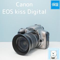Panasonic LUMIX DMC-FX77 デジカメ スマホ転送OK フルセット シロクマ