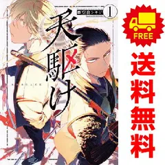 天駆け 1～3巻 までの全巻セット アフタヌーンＫＣ 空倉シキジ 講談社（青年コミック）