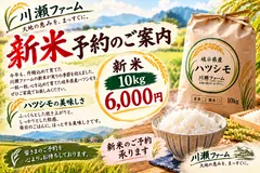 2026年最新】Hatsushimoの人気アイテム - メルカリ