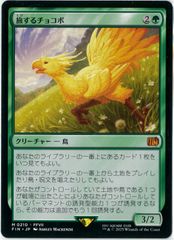 MTG/英語版/ディスプレイサーの仔猫/Displacer Kitten/拡張/統率者