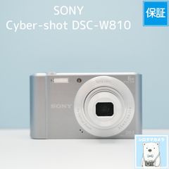 Canon EOS kiss Digital X 一眼レフ スマホ転送OK フルセット シロクマ