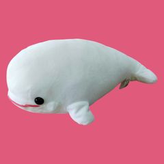 B00352 ぬいぐるみ シロイルカ 鴨川シーワールド