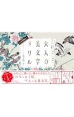 大人の美文字ドリル キリトリ式でペラっとスタディ!／りさ