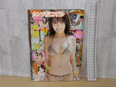ヤングアニマル 2018年 3/23 号 [雑誌] 白泉社