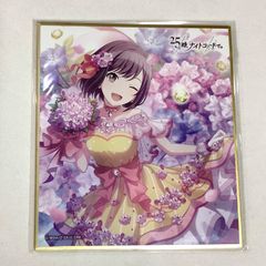 きらりんレボリューション きら☆ぴか 下敷き - メルカリ