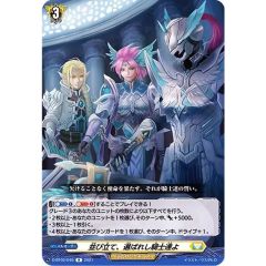 PSA10鑑定済〕シェイミEX【RR】{063/078} - メルカリ