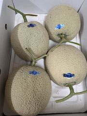 大玉スイカ2玉入り！北海道東北各県沖縄発送不可 - メルカリ