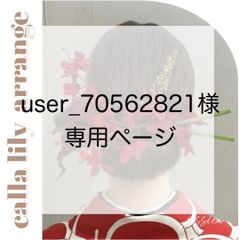2種変更あり】kazu様 専用ページ - メルカリ