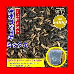冷凍コオロギ ミックス 500g） コオロギ ミックス ML L 羽あり 羽なし