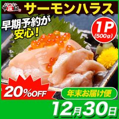 【12月30日お届け】【訳あり】🍣アトランティックサーモン 🐟 ハラス 切り落とし たっぷり500g サーモン ノルウェー産 サイズ不揃い 生食可 お刺身 大トロ【甲羅組】