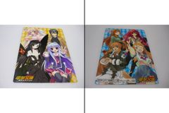 [管meb]【送料無料】下敷き 電撃コラボレーションB5下敷き 電撃文庫MAGAZINE Vol.10 2009年11月号付録 ／ 俺妹 シャナ いとうのいぢ