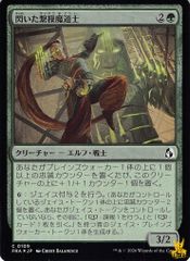 世界のY チャクラ・デル・フィン ゼル SR 26RP1 S2 コスト；3 光文明