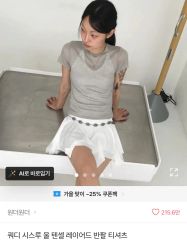 エイブリー ワンダーワンダー 쿼디 シースルー ウール テンセル レイヤード 半袖 Tシャツ