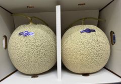 大玉スイカ2玉入り！北海道東北各県沖縄発送不可 - メルカリ