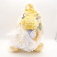 ミニリュウ＆カイリュー だっこぬいぐるみ TAIKI-BANSEI ポケモン