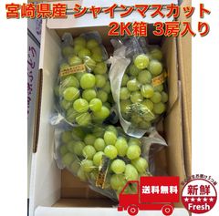 シャインマスカット 4パック 熊本・福岡産 - メルカリ