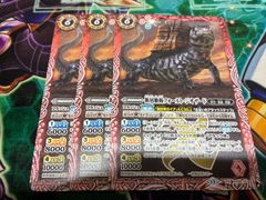 絶超熱血 ロビンフッド WINNER プロモ 4枚 - メルカリ