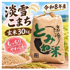 秋田県産 淡雪こまち 30kg 白米 新品 - メルカリ