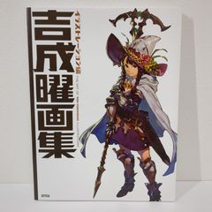 ヴァンパイア騎士 シリーズ全巻セット＋公式ファンブック 樋野まつり