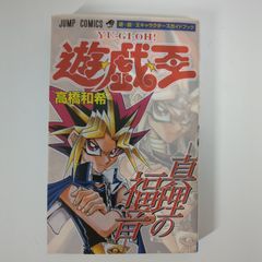 ヴァンパイア騎士 シリーズ全巻セット＋公式ファンブック 樋野まつり
