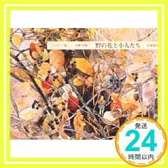 ハンディー版 野の花と小人たち (安野光雅の本 5) 安野 光雅_02