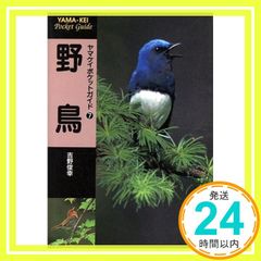 野鳥 (ヤマケイポケットガイド) [単行本] 吉野 俊幸_02