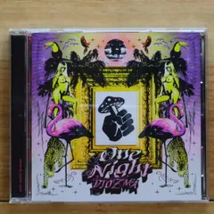 送料無料★CD専門★DJ OZMA/ディージェーオズマ■One Night【4988006206939/TOCT40020】A24034