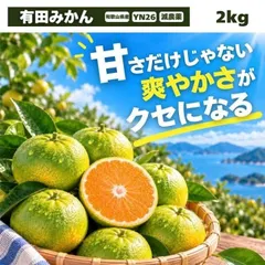 【送料無料】有田みかん YN26 小粒 小玉 2㎏ ミカン 減農薬 訳あり 和歌山