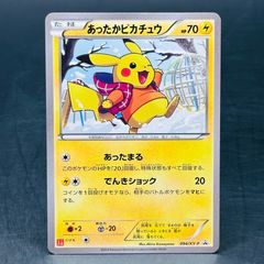 あったかピカチュウ: プロモ[XY-P 094/XY-P](プロモーションカード「XY