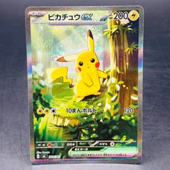 あったかピカチュウ: プロモ[XY-P 095/XY-P](プロモーションカード「XY