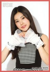 【中古】生写真(女性) IZ*ONE/カン・ヘウォン/上半身・枠赤/IZ*ONE ランダム生写真 Checkered Ver.