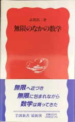無限のなかの数学 (岩波新書 新赤版 405)