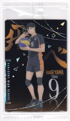バンダイ ハイキューウエハース 7弾/2846002 影山飛雄【SP】 29