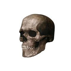 【新品】 [MUAH!] 恐怖 ドクロ マスク ハロウィン 骸骨 ヘッドギア ハロウィーン ラテックス コスプレ 仮面 ホラー ソウルホラー コスプレ 怖い フェイスマスク パーティー 宴会 コスチューム 小道具 大人用 マスク 1