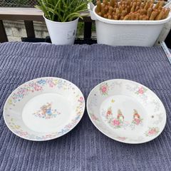 Peter Rabbit プレート パスタ　サラダ　カレー皿　2枚　21.5×4
