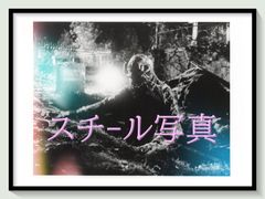 pt『四月物語』映画B2判オリジナルポスター pt05017 岩井俊二 行定勲