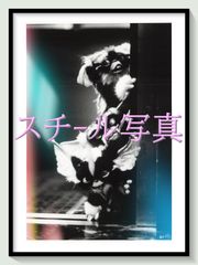 pt『私をスキーに連れてって』映画オリジナルB2判ポスター pt05545