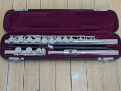 2026年最新】yamaha yfl-211の人気アイテム - メルカリ
