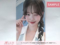 IVE WONYOUNG トレカ 2025 FAN CONCERT 'IVE SCOUT' IN JAPAN ランダム
