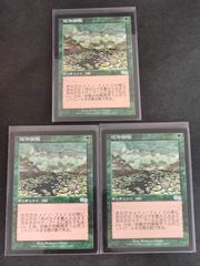 eb593 MTG パララクスの波 日本語版 ネメシス マジックザギャザリング