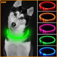 送料無料★iTayga LED 犬 光る首輪 ライト 散歩 子犬 犬用訓練首輪 小型、中型、大型犬用 ペット用品充電式  新着