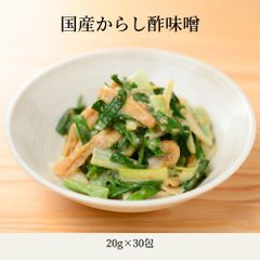 からし酢味噌 辛子酢味噌 20g×30袋 600g 国内製造 長野県加工 小分け からし味噌 ホタルイカ 刺身こんにゃく 豚しゃぶ 和え物 業務用 常温 えつすい