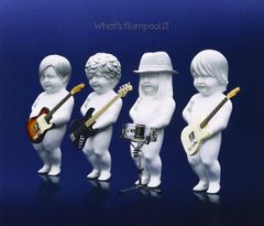 What’s flumpool!? / flumpool (CD)