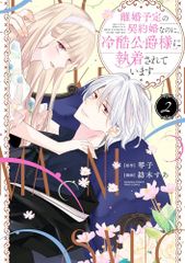 離婚予定の契約婚なのに、冷酷公爵様に執着されています(2) (ぶんか社コミックス PRIMO COMICS)／紡木すあ、