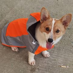 レインコート レインコート ポンチョ 着せやすいカッパ リード穴あり 雨の日のお散歩や梅雨時期に最適(大型犬/大きいサイズ/ペット服) 
