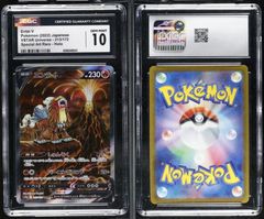 PSA 10 相当 CGC10 エンテイV 213/172 S12a VSTARユニバース ポケモンカード ポケカ　tc2200★