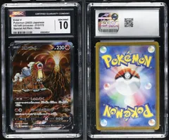 PSA 10 相当 CGC10 エンテイV 213/172 S12a VSTARユニバース ポケモンカード ポケカ　tc2200★