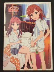 アスキー・メディアワークス アニメージュ2010年5月号第一ふろく とある科学の超電磁砲 下敷き