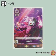 100倍重力の修行 82/97 ドラゴンボール ミラクルバトルカードダス 2枚